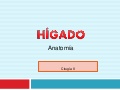 Anatomia del higado