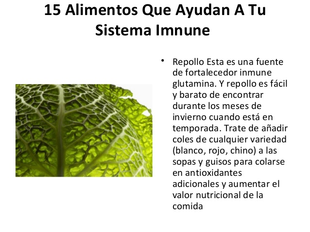 15 Alimentos Que Ayudan A Tu       Sistema Imnune              • Repollo Esta es una fuente                de fortalecedor...