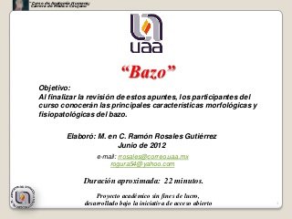 Bazo