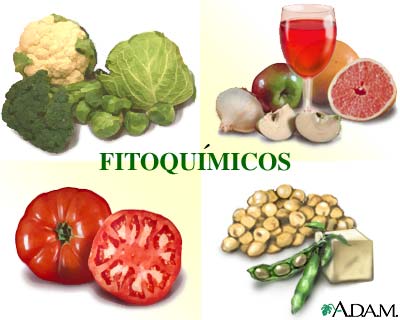 Fitoqumicos