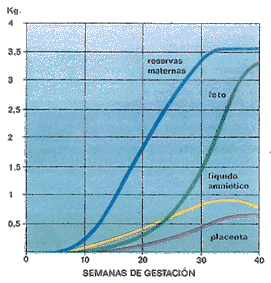 pesos_embarazo.GIF (24429 bytes)