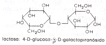 lactosa.png (42173 bytes)