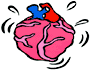 El sistema cardio-circulatorio