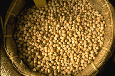 Garbanzos