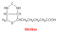 Biotina