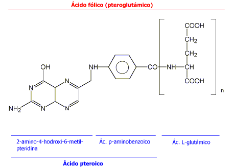 cido flico (vitamina B9)