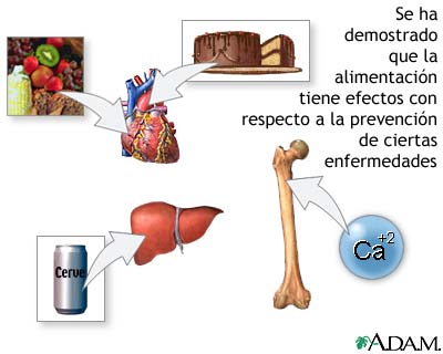 Dieta y prevenci�n de enfermedades
